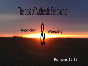 Romans 12-15